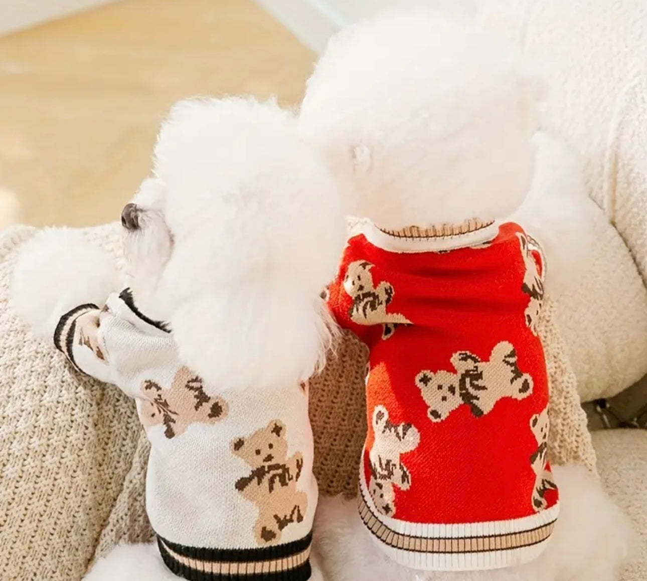 Sweater cardigan osos