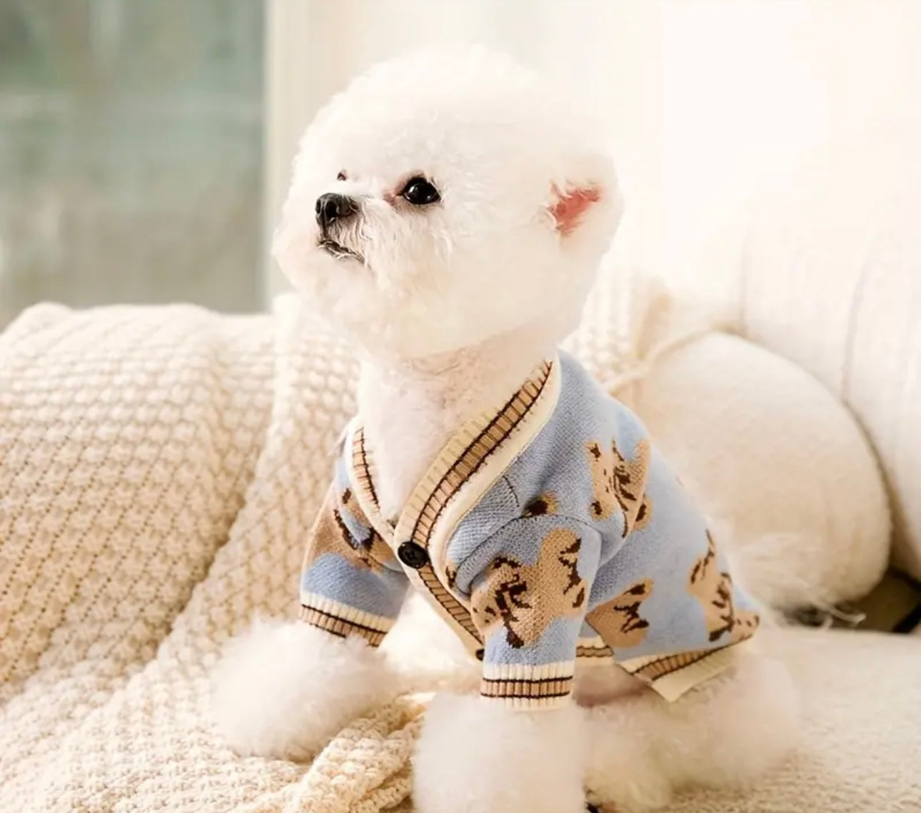 Sweater cardigan osos
