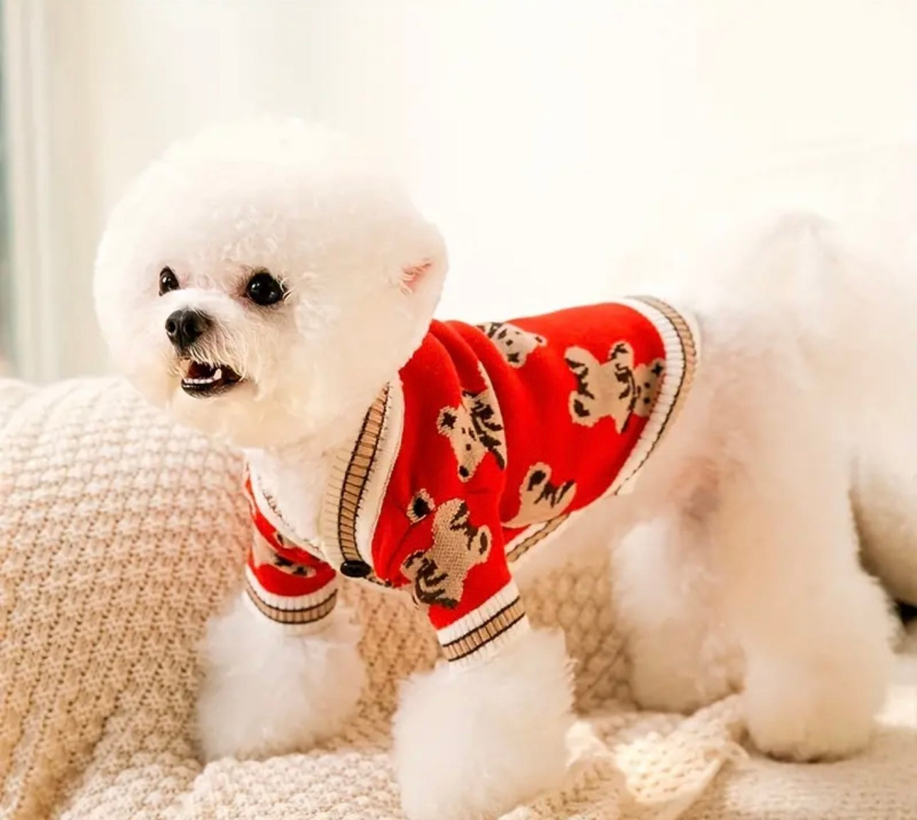 Sweater cardigan osos