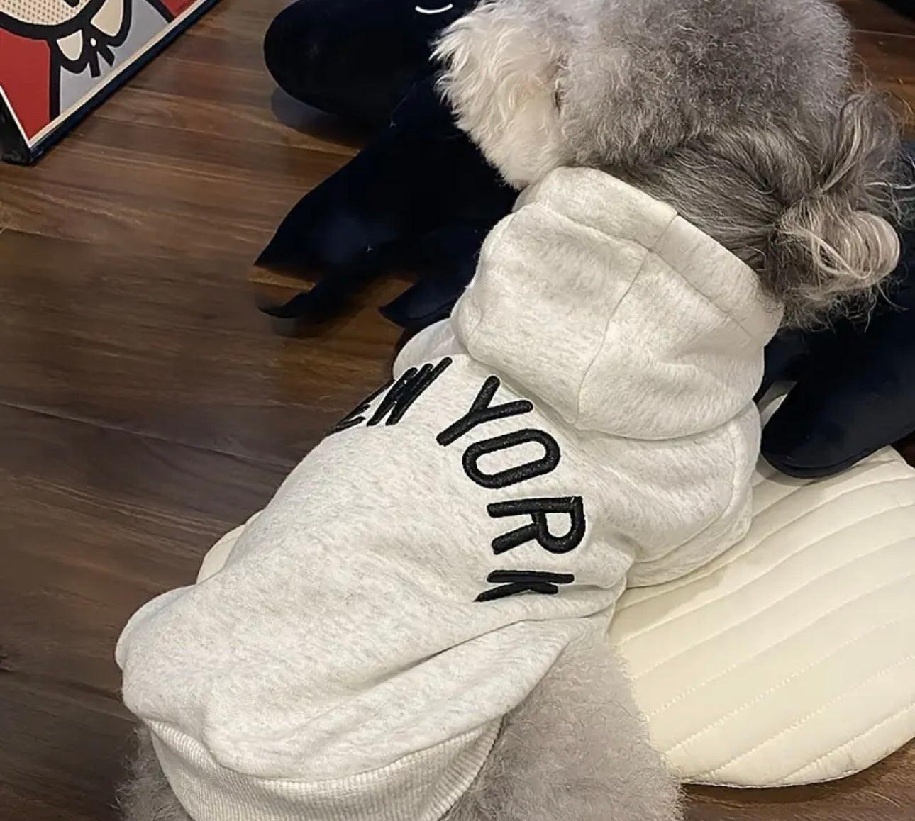 Hoddie New York