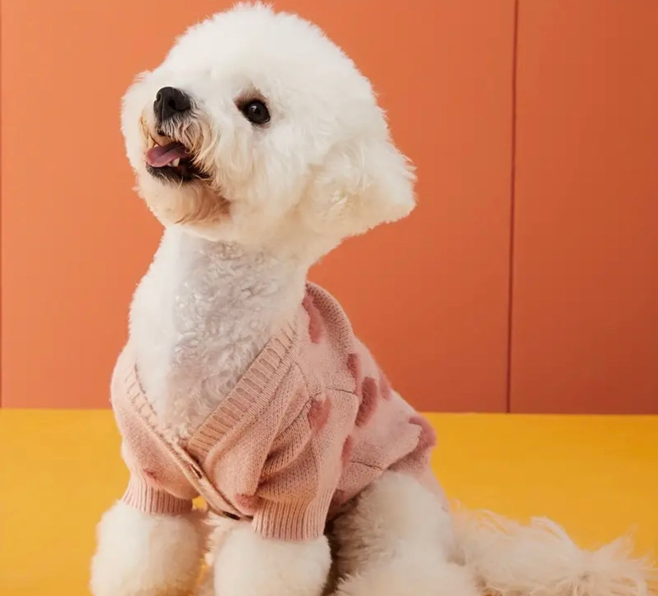 Sweater de corazones